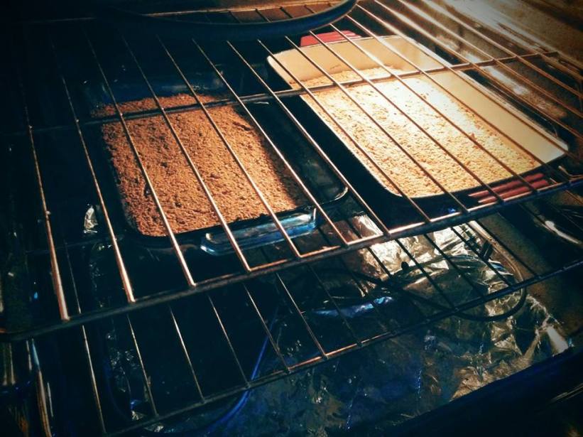 12705318_870945226358482_3522087170936236972_n