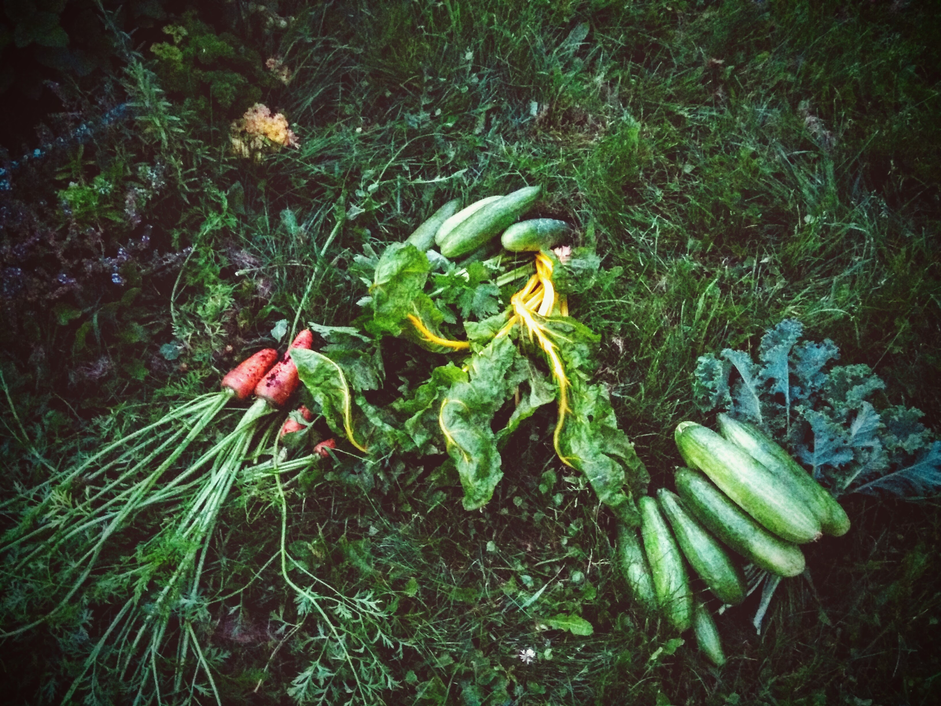 img_20150824_195718-2