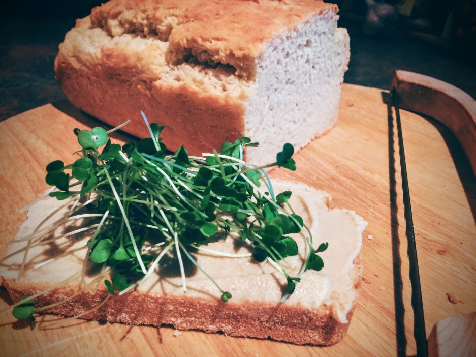 IMG_20150910_144729~2