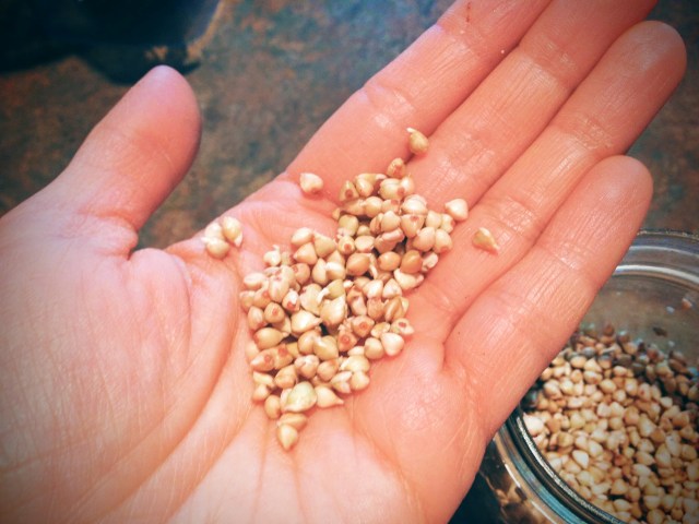 IMG_20151126_104252~2