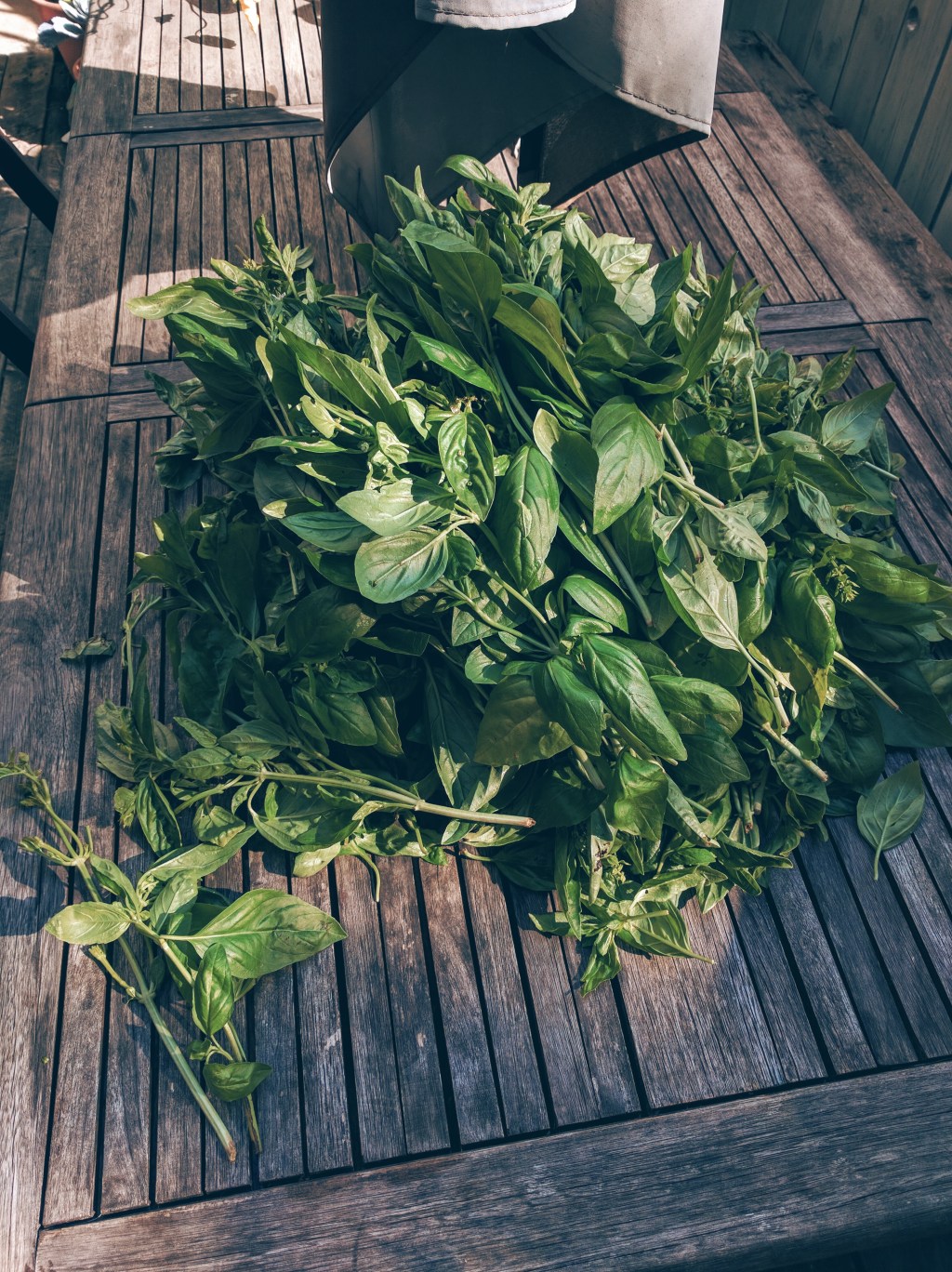 Recette // Le pesto de&nbsp;basilic