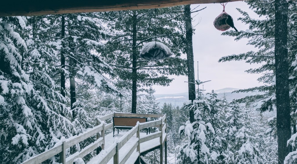 Commencer l’année avec&nbsp;légèreté