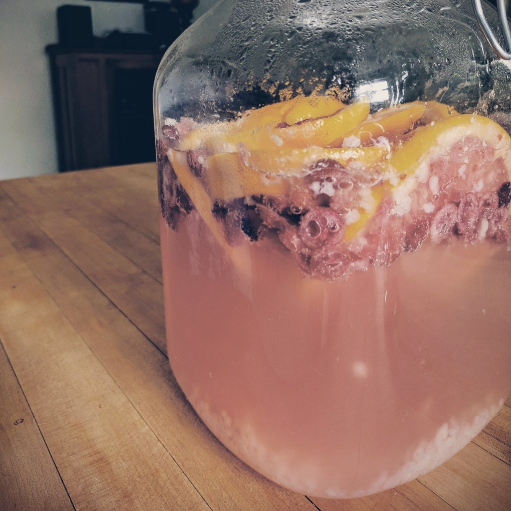 Recette // Le kéfir&nbsp;d’eau